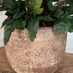 Pink Chrysanthemum in a Terracotta Pot RTfact Flowers 