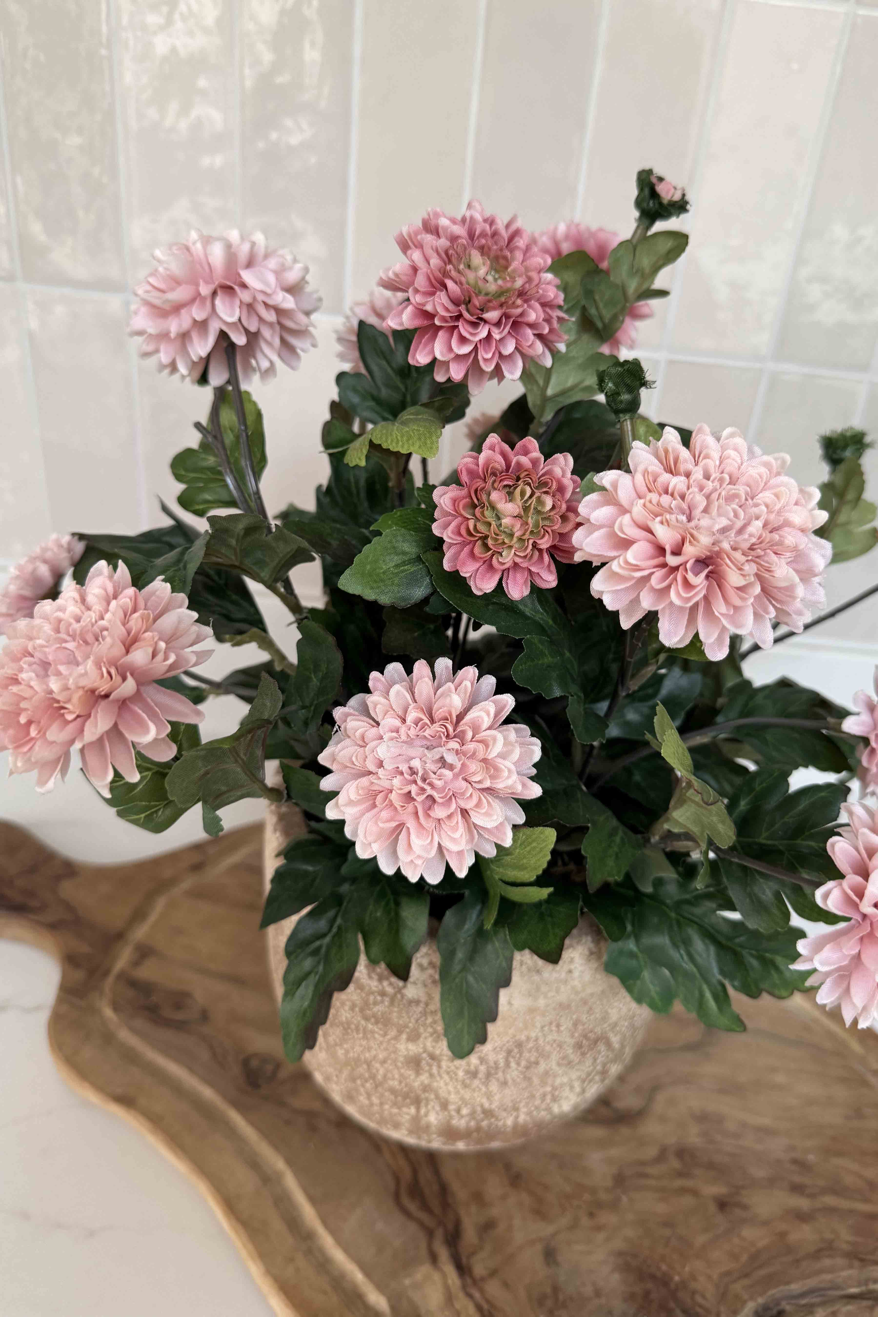 Pink Chrysanthemum in a Terracotta Pot RTfact Flowers 