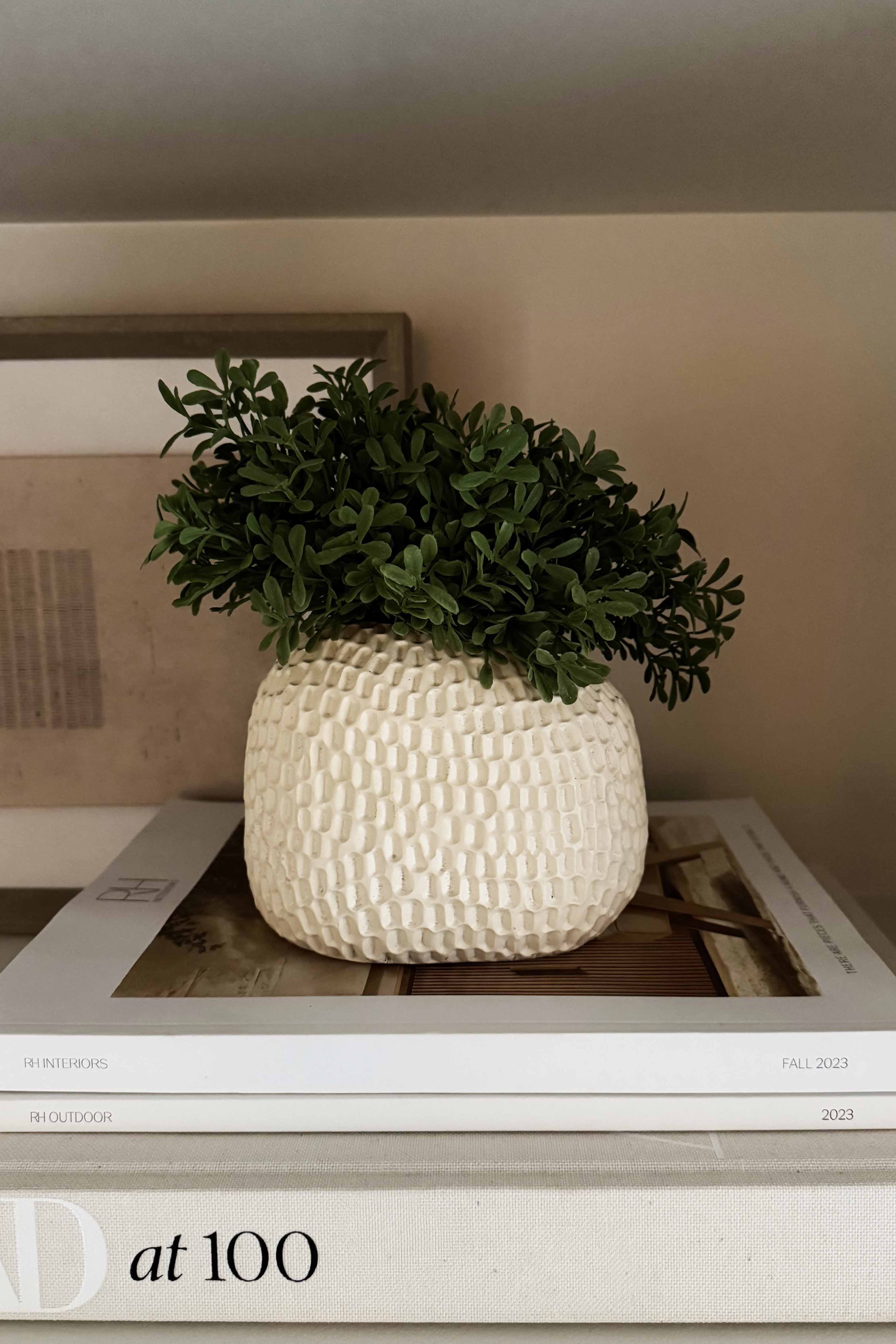 Teabush in a Cream Dimpled Vase RTfact Flowers 