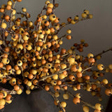 Berries in a Rustic Brown Clay Pot