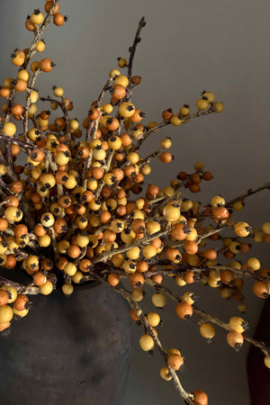 Berries in a Rustic Brown Clay Pot