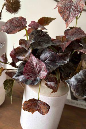 Chestnut Spray and Ivy in Cream Vases (Set of Two)