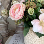 Ranunculus, Hellebores and Skimmia in a Cream Glazed Vase RTfact Flowers 