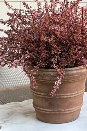 Heather in a Terracotta Ribbed Pot RTfact Flowers 