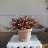 Heather in a Terracotta Ribbed Pot (Rustic pink)