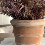 Heather in a Terracotta Ribbed Pot (Light Purple)