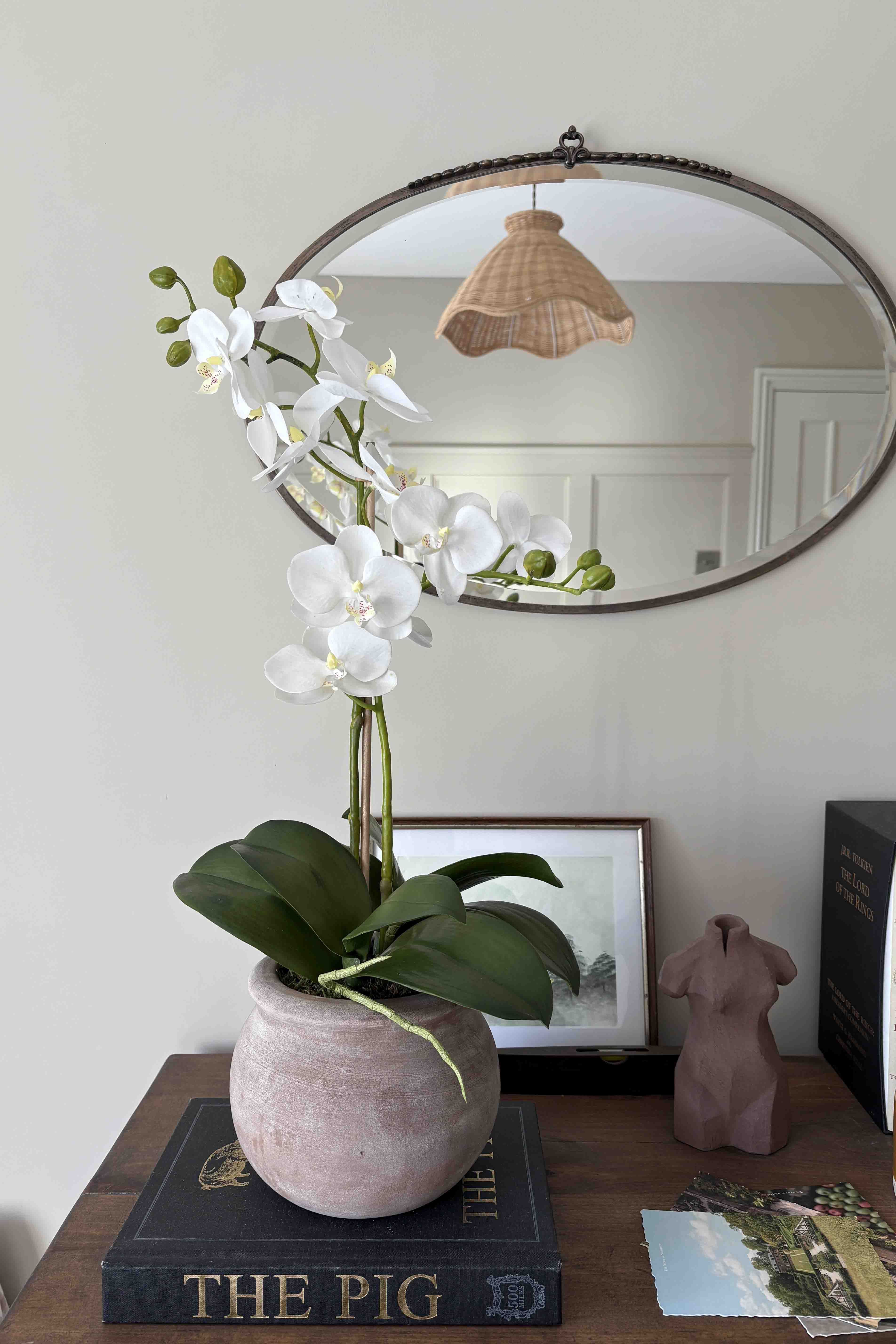 White Orchid in a Round Terracotta Pot RTfact Flowers 
