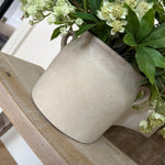 Dianthus Spray, Astrantia and Bucida Flower in a Taupe Vase RTfact Flowers 