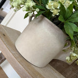 Dianthus Spray, Astrantia and Bucida Flower in a Taupe Vase RTfact Flowers 
