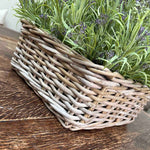 Lavender in a Square Basket RTfact Flowers 