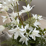 Zephyranthes and Fern in a White curved Vase RTfact Flowers 