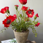 Poppies in a Rustic Stone Pot RTfact Flowers 