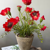 Poppies in a Rustic Stone Pot RTfact Flowers 