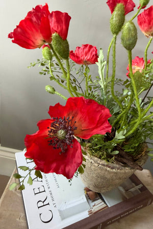 Poppies in a Rustic Stone Pot RTfact Flowers 