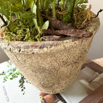 Poppies in a Rustic Stone Pot RTfact Flowers 