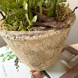 Poppies in a Rustic Stone Pot RTfact Flowers 