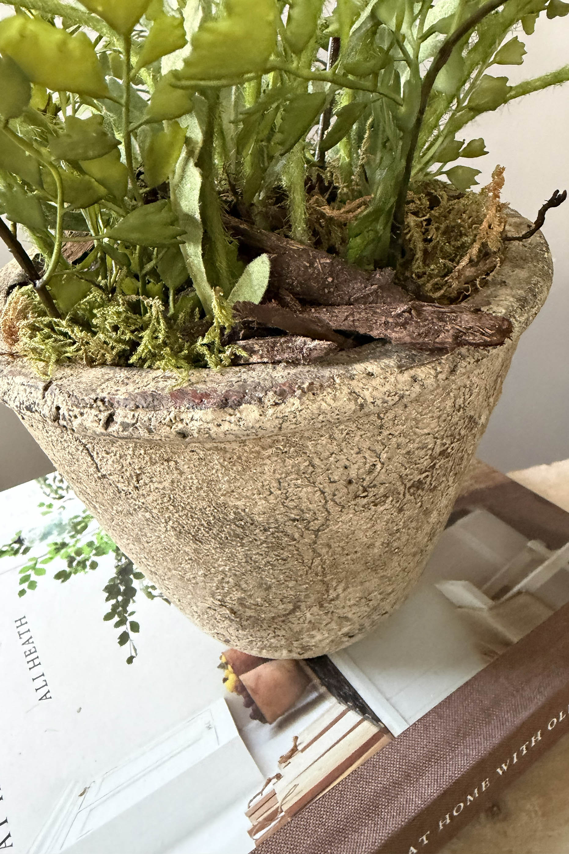 Poppies in a Rustic Stone Pot RTfact Flowers 