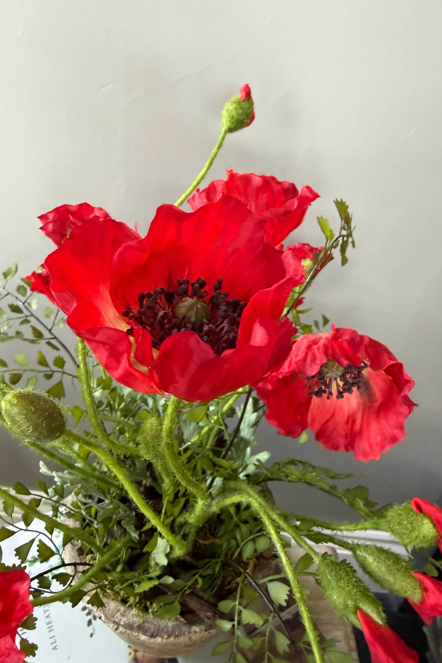 Poppies in a Rustic Stone Pot RTfact Flowers 