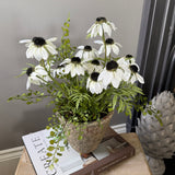 Daisies in a Rustic Stone Pot RTfact Flowers 