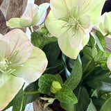 Hellebores in a Rustic Stone Pot