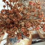 Gypsophilia in a Bronze Grey Vase RTfact Flowers 