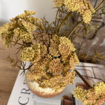 Decorative arrangement of flowers on a book with a blurred background