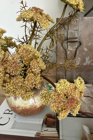 Queen Anne's Lace in a Pomegranate Vase