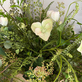 Hellebores and Fern in a Terracotta Bowl