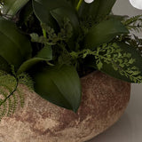 Orchids with Fern in a Terracotta Bowl