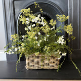Bell Flower, Astrantia , Queen Anne's Lace and Fern in a Basket