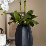 Orchids in a Black Glass Vase