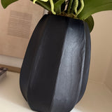 Orchids in a Black Glass Vase
