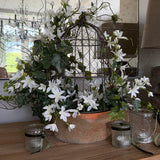 Zephyranthes, Ivy and Twig Decorated Cage