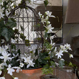 Zephyranthes, Ivy and Twig Decorated Cage