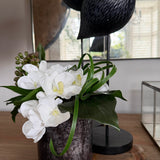 Vanda Orchid and Ivy in a Textured Grey Vase