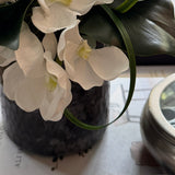 Vanda Orchid and Ivy in a Textured Grey Vase