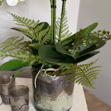 Orchids with Fern in a Silver/Pewter Glass Vase