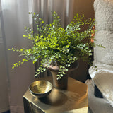 Maidenhair Fern in a Amber Bronze Glass Vase RTfact Flowers 