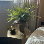 Maidenhair Fern in a Amber Bronze Glass Vase RTfact Flowers 