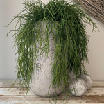 Air Grass in a Grey Stone Vase RTfact Flowers