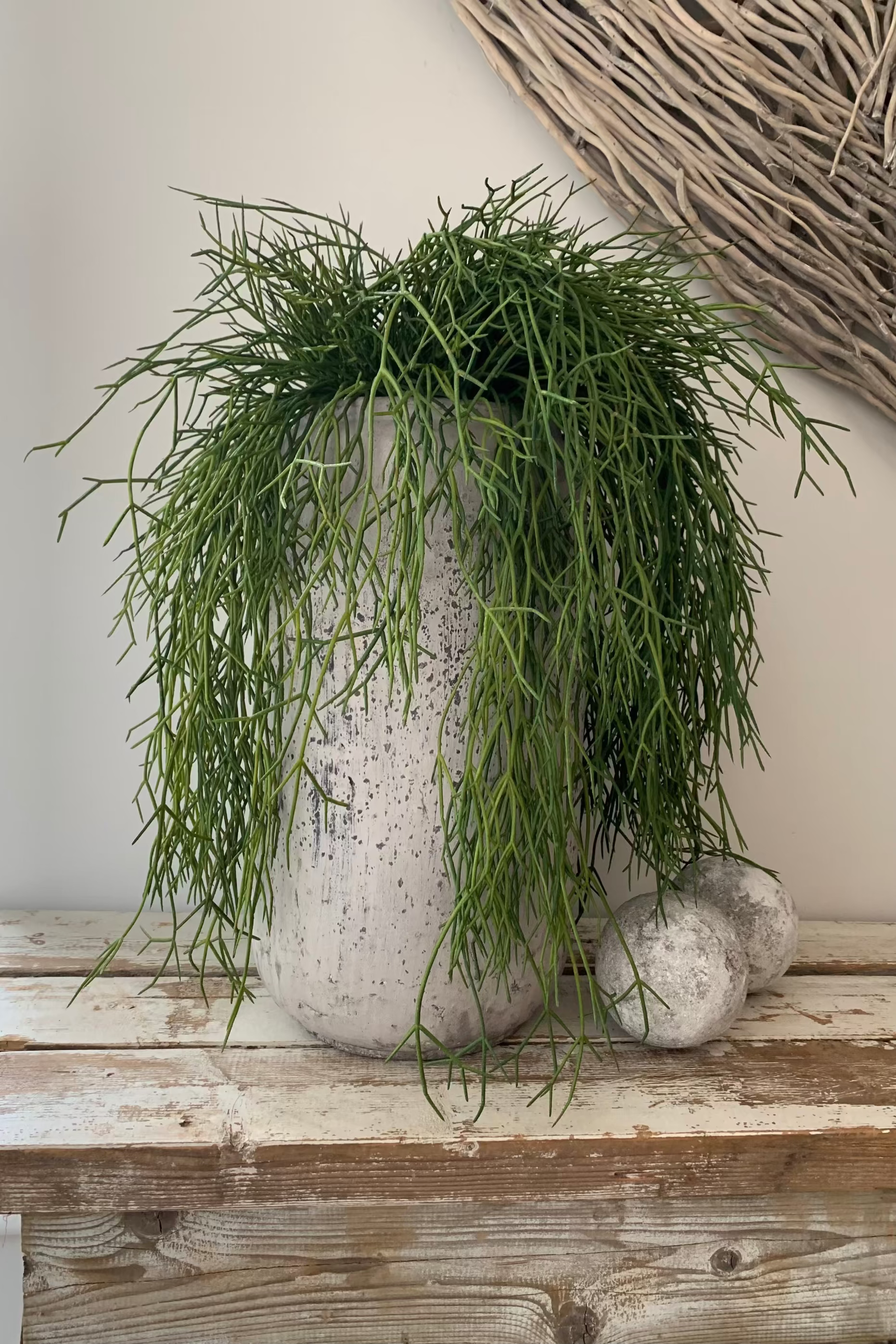 Air Grass in a Grey Stone Vase RTfact Flowers