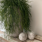 Air Grass in a Grey Stone Vase RTfact Flowers