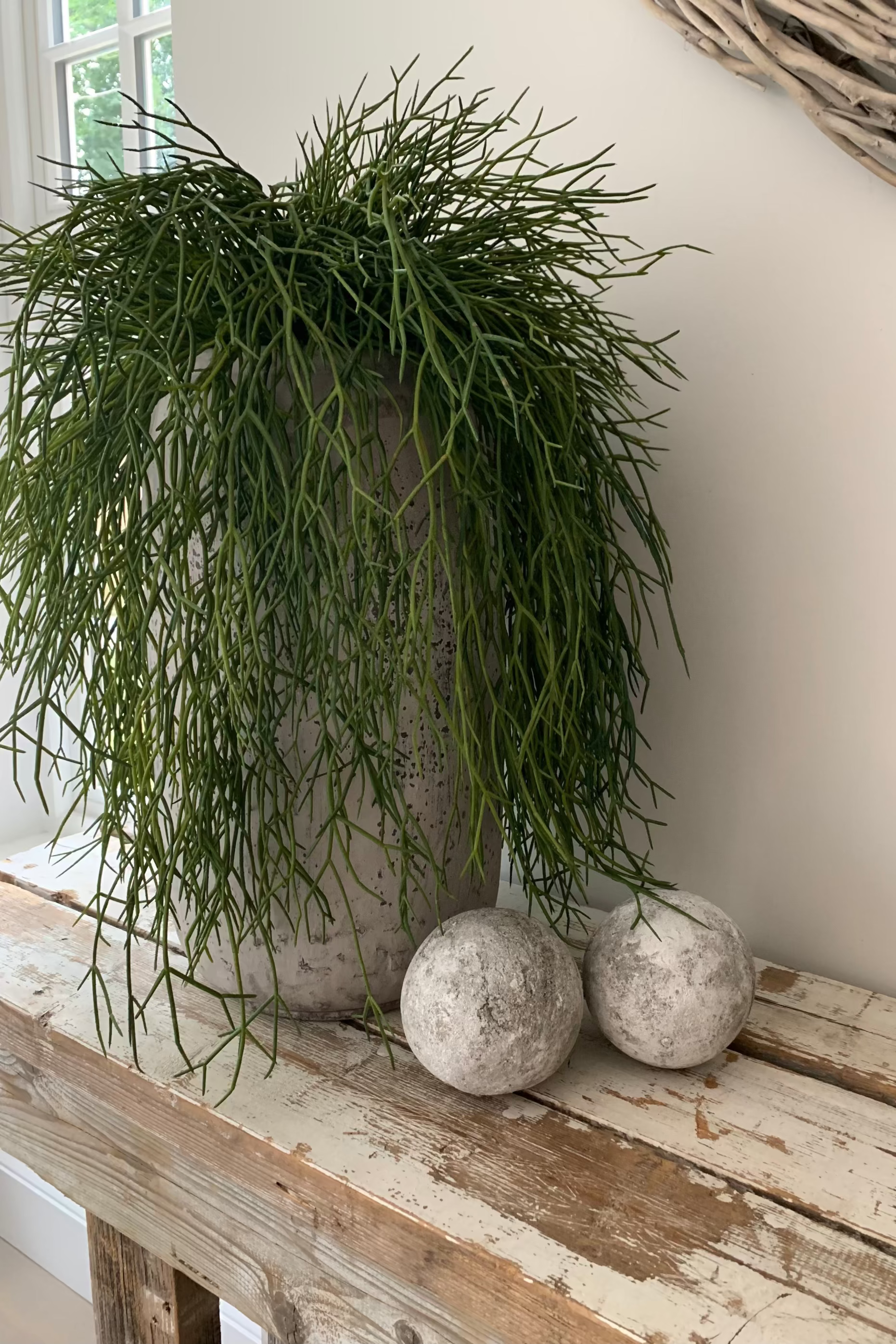 Air Grass in a Grey Stone Vase RTfact Flowers