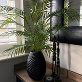 Areca Palm in a Black Wooden Pot RTfact Flowers 