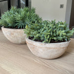 Terracotta Bowl RTfact Flowers 