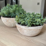 Terracotta Bowl RTfact Flowers 