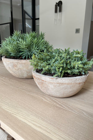 Terracotta Bowl RTfact Flowers 