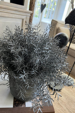 Springeri in a Charcoal Grey Stone Vase