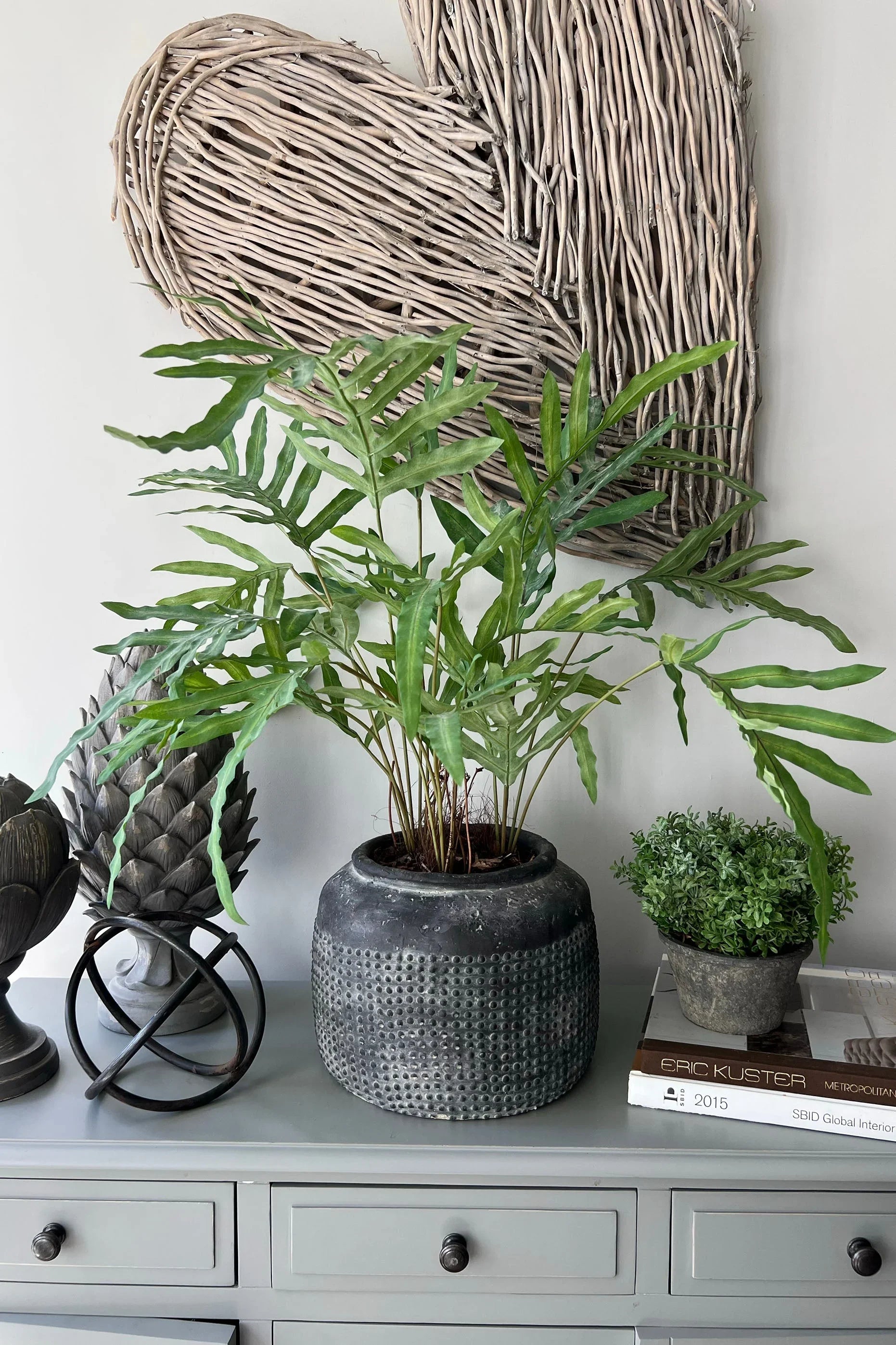 Phlebodium Fern in a Dotty Stone Pot RTfact Flowers 