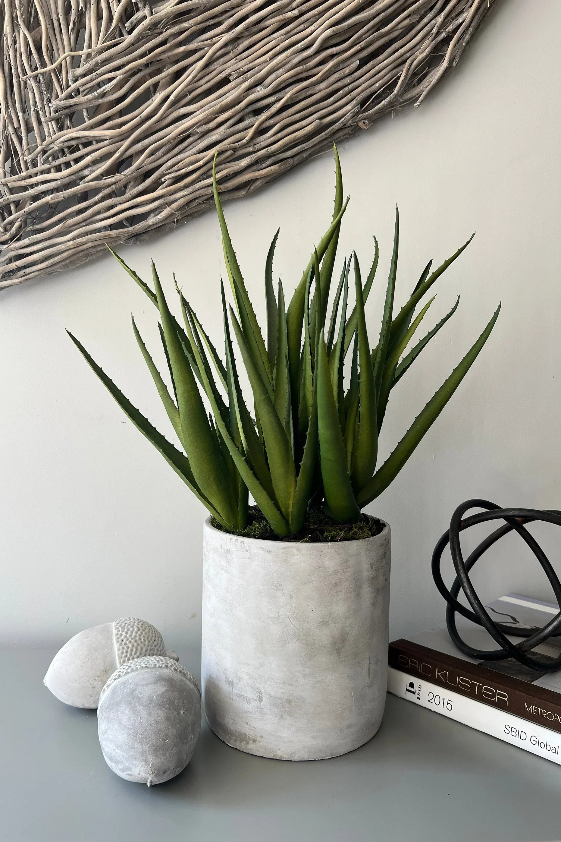 Aloes in a Grey Stone Pot RTfact Flowers 